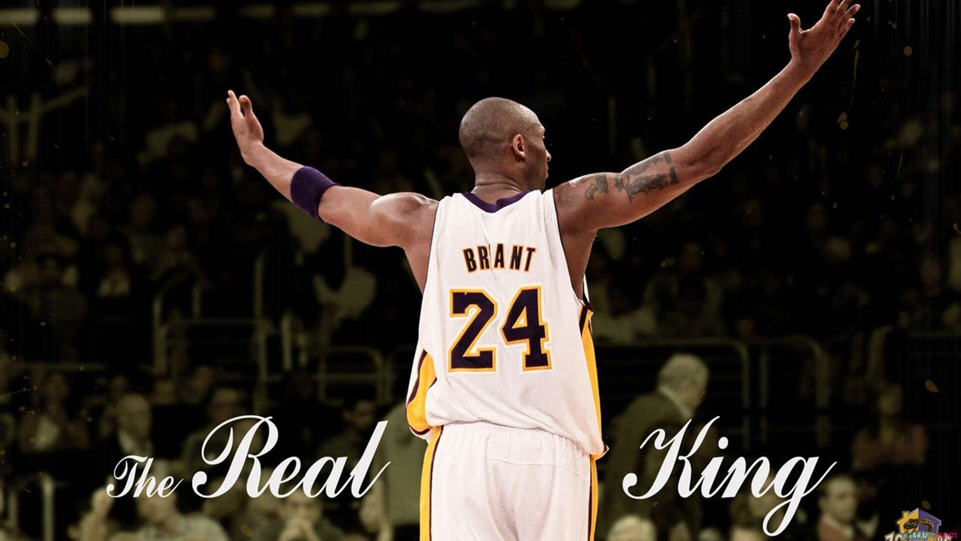 _传统体育节：文化自信与体育传承_，传承体育文化,弘扬体育精神