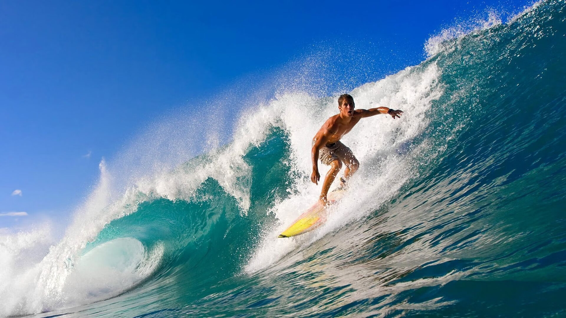 澳大利亚联赛外援贡献突出，澳大利亚队阵容