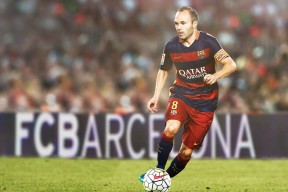 日本马术协会与学校合作，开展马术教育课程，推广马术文化。，日本马术联盟