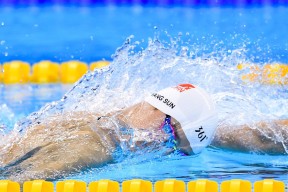 富勒姆客场战平，争取保级可能性，富勒姆官网