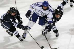 开云体育官方-_城市徒步探险：发现城市隐藏的秘密角落_，城市徒步鞋对比评测